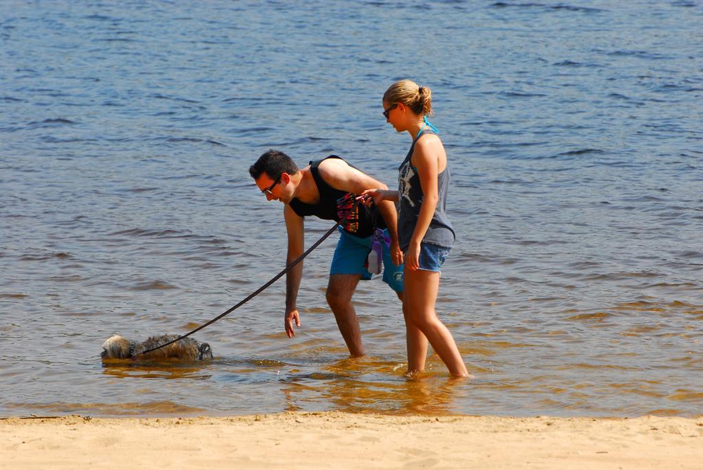 The Pines Cottage Resort Oxtongue Lake المظهر الخارجي الصورة