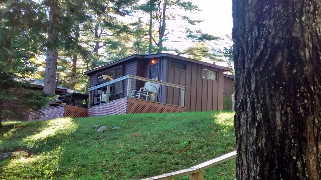 The Pines Cottage Resort Oxtongue Lake الغرفة الصورة